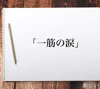 趣体育网站-累组词